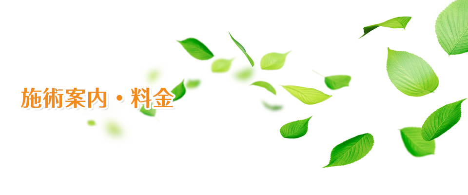 施術案内・料金